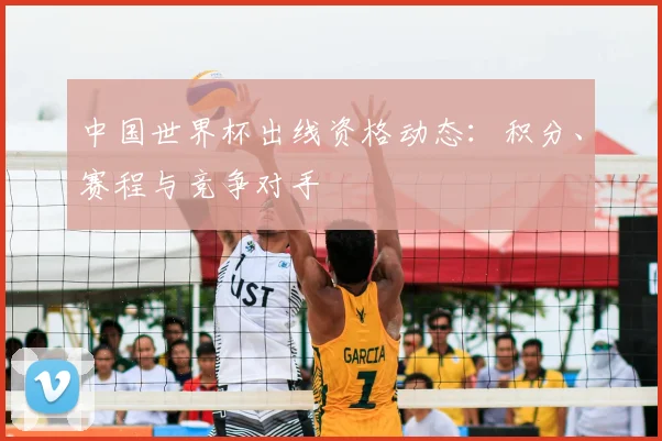 中国世界杯出线资格动态：积分、赛程与竞争对手