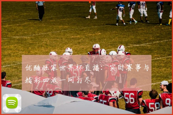 优酷独家世界杯直播：实时赛事与精彩回放一网打尽