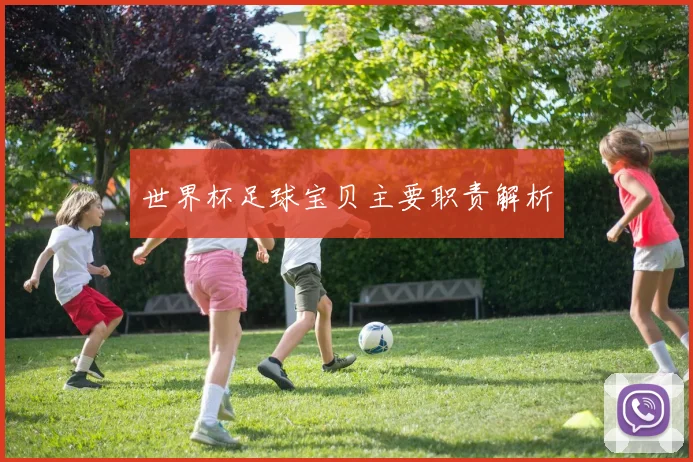 世界杯足球宝贝主要职责解析