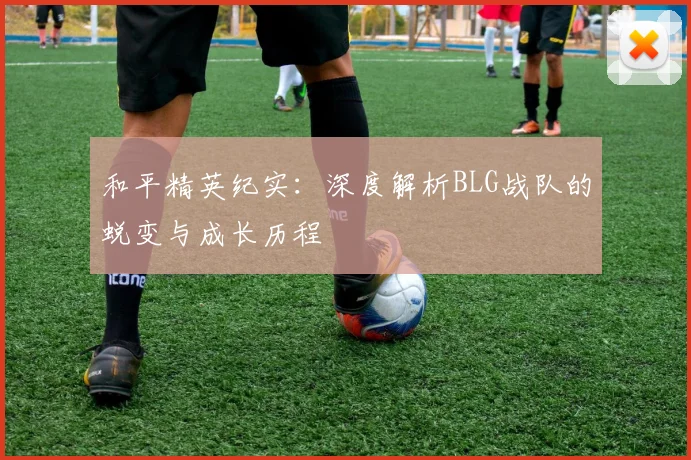 和平精英纪实:深度解析BLG战队的蜕变与成长历程