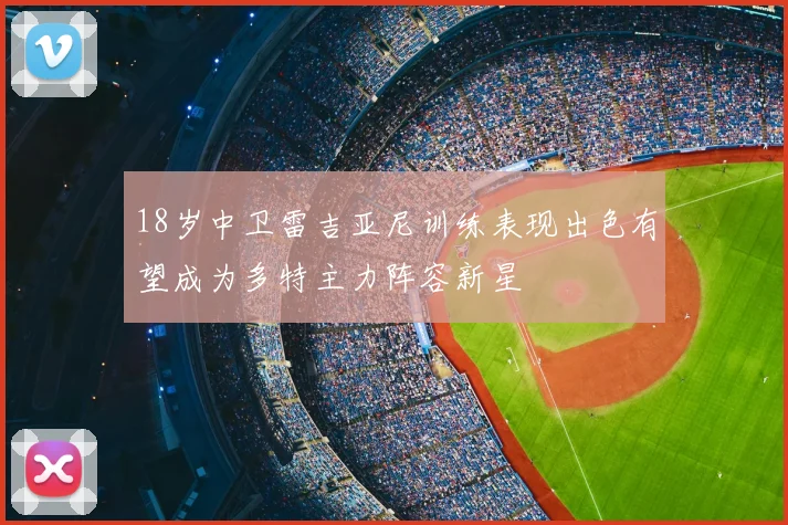 18岁中卫雷吉亚尼训练表现出色有望成为多特主力阵容新星