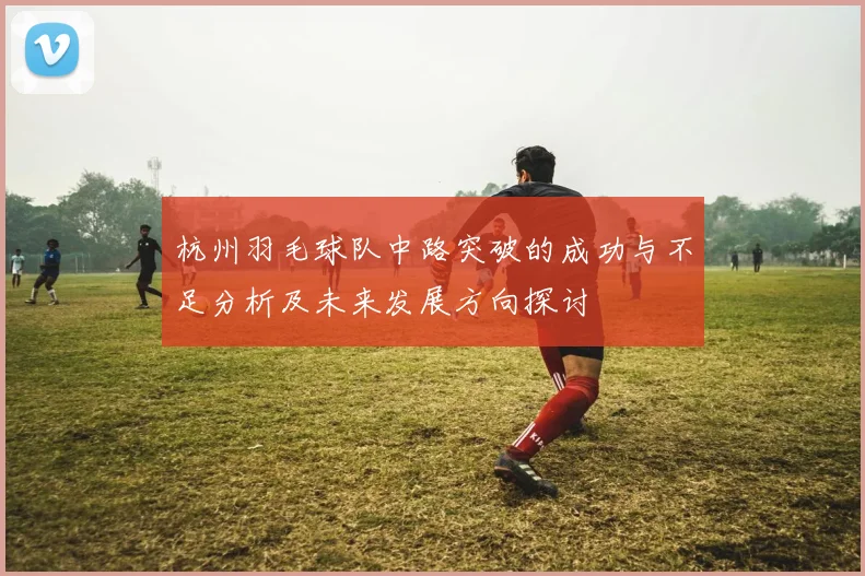 杭州羽毛球队中路突破的成功与不足分析及未来发展方向探讨