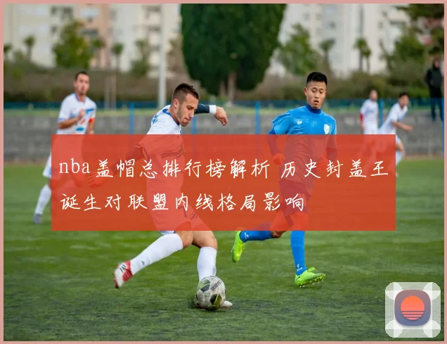 nba盖帽总排行榜解析 历史封盖王诞生对联盟内线格局影响