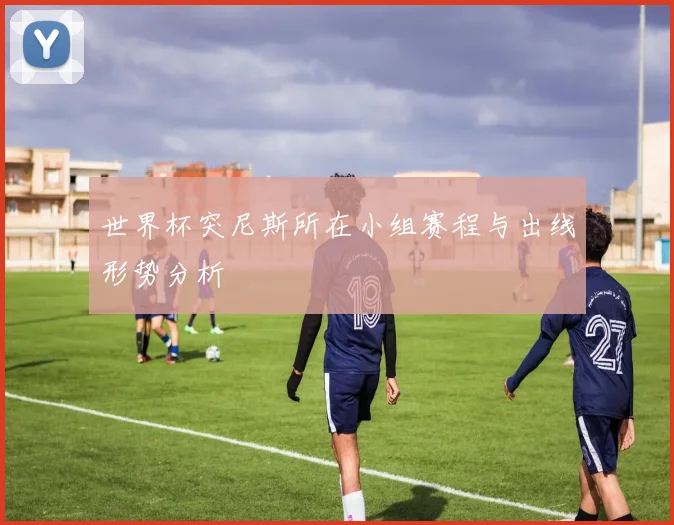 世界杯突尼斯所在小组赛程与出线形势分析