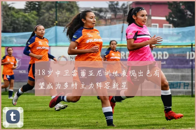 18岁中卫雷吉亚尼训练表现出色有望成为多特主力阵容新星