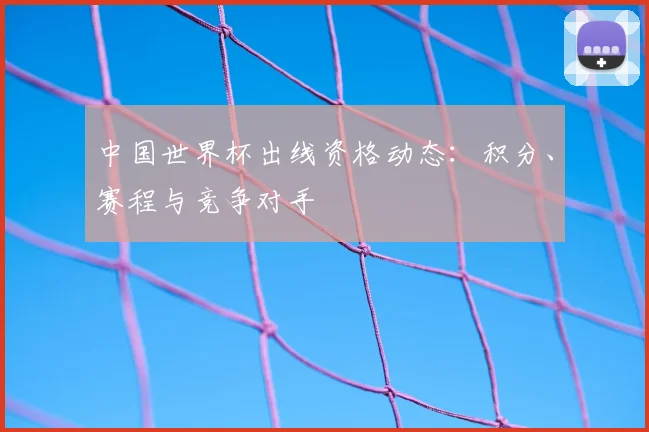 中国世界杯出线资格动态：积分、赛程与竞争对手