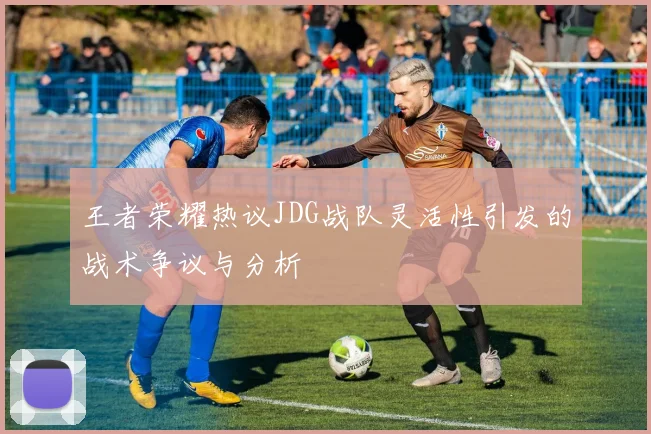 王者荣耀热议JDG战队灵活性引发的战术争议与分析